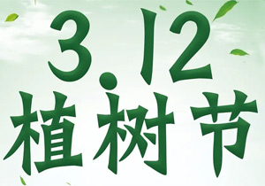 植樹節(jié)：“植”此青綠，共赴春光